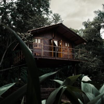 Charming wooden cabin surrounded by dense greenery, offering a tranquil nature retreat.